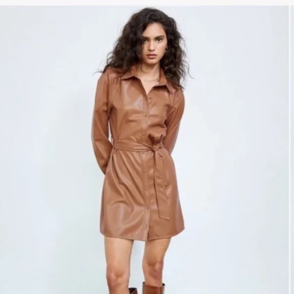 Aritzia Caroline Vegan leather dress in camel